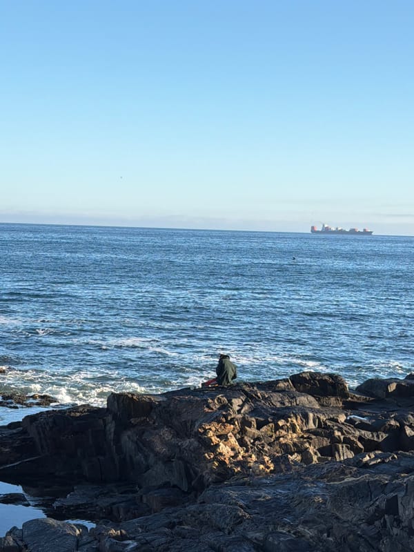 Person stands on Cape Town clifftop overlooking ocean Saturday morning