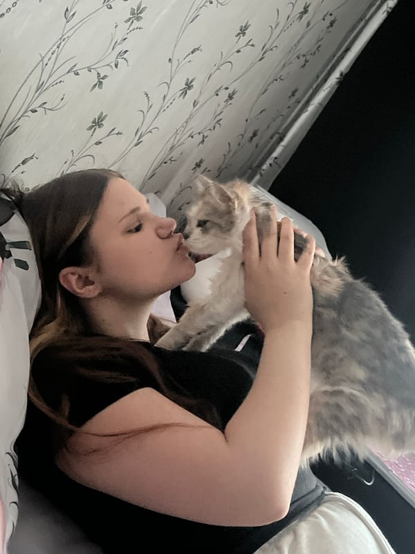 Evening with playful kitten at home in Svietlahorsk