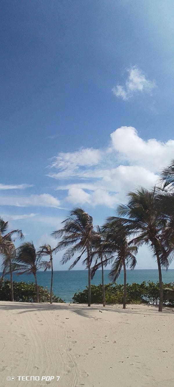 Beach scene with tire tracks captured in Pedro González