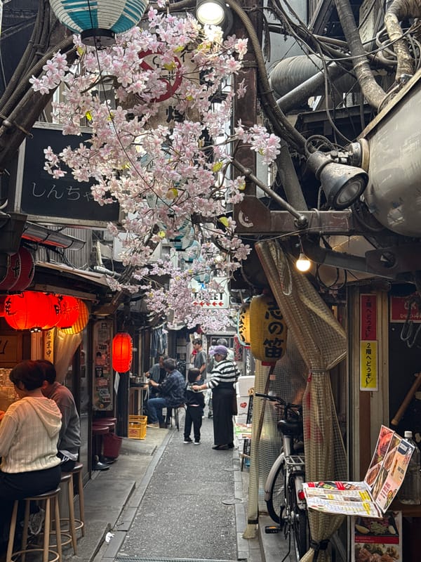 Morning tour through Shinjuku captures streets and skyline