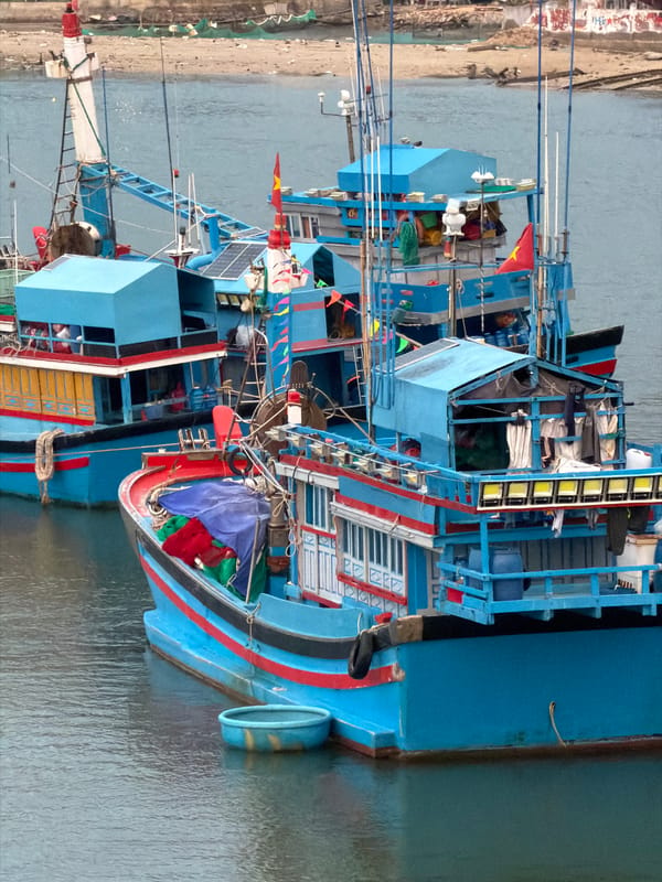 Harbor life documented in Ninh Chu Ward, Vietnam fishing village