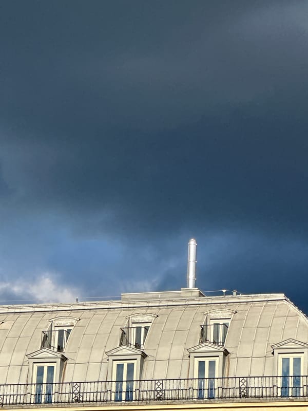 Parisian building architecture documented by witness in central Paris