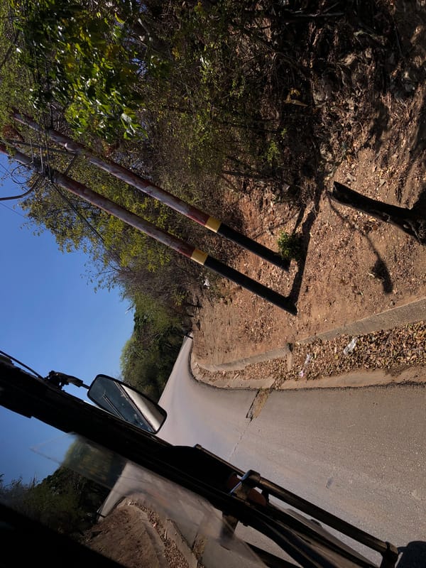 Rural road scene captured by traveler in Tacarigua, Venezuela