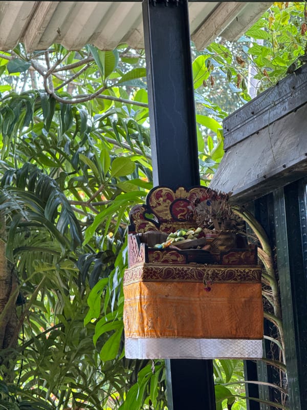 Person holds small bird in Ubud's tropical greenery