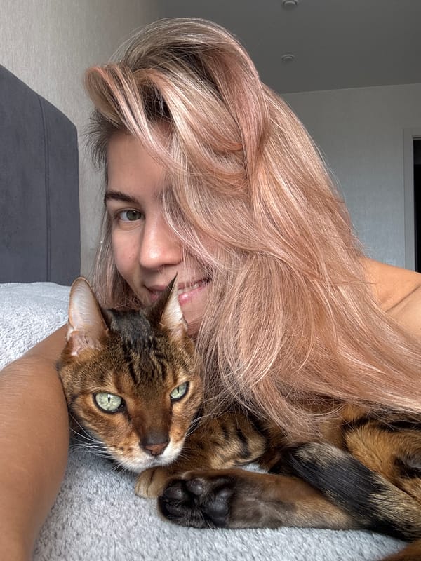 Woman spends morning with Bengal cat at home