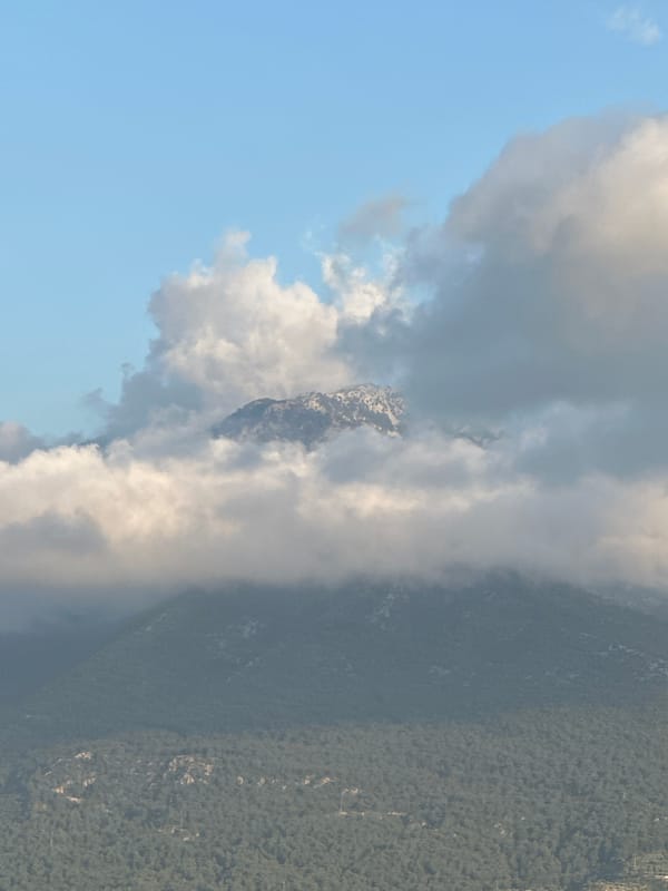 Woman documents afternoon in Fethiye, Turkey with selfies and cityscapes