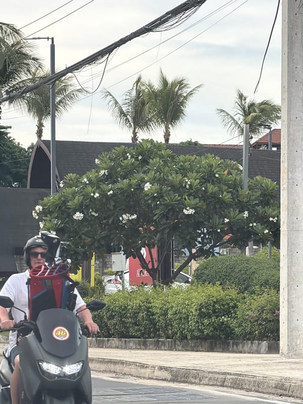 Morning ride through Baan Bo Phut's streets and gardens