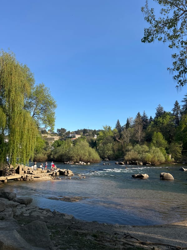 Riverside gathering observed in Amarante, Portugal