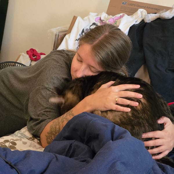 Laid-back evening at home with a tabby cat in Portland