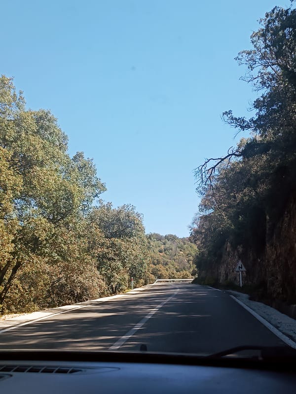 Road view captured from vehicle in Morocco