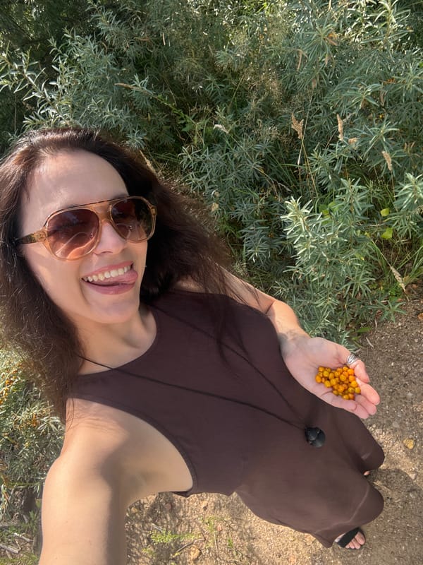 Snacking on fresh sea buckthorn berries in Chaikovsky