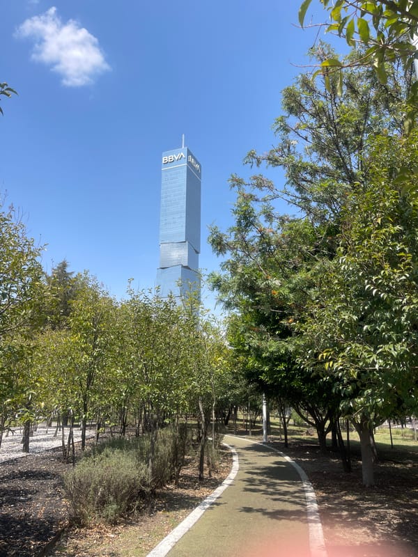 BBVA Tower viewed through trees in Mexican green space