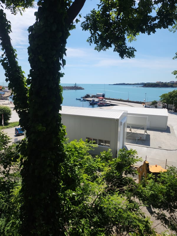 Sunny harbor views through greenery in Tsarevo, Bulgaria