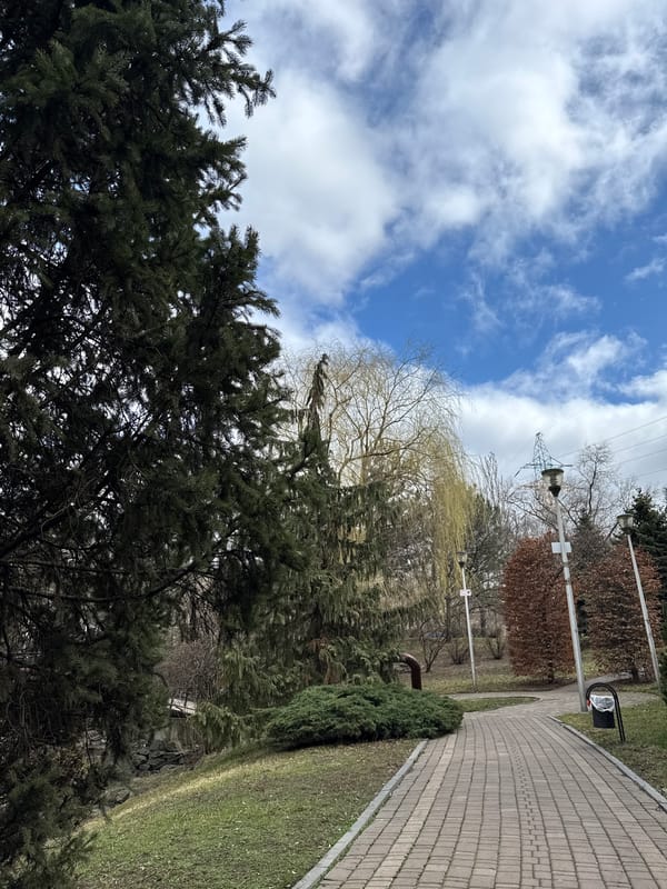 Family park outing documented in Donetsk, Ukraine