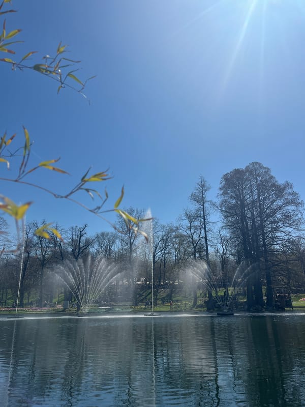Clear morning skies observed at Craiova park