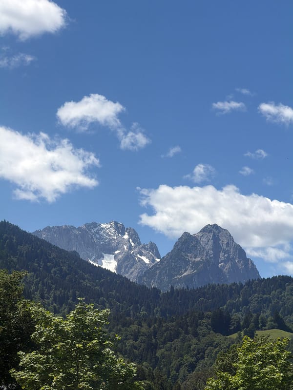 Mountain forest landscape documented under clear skies