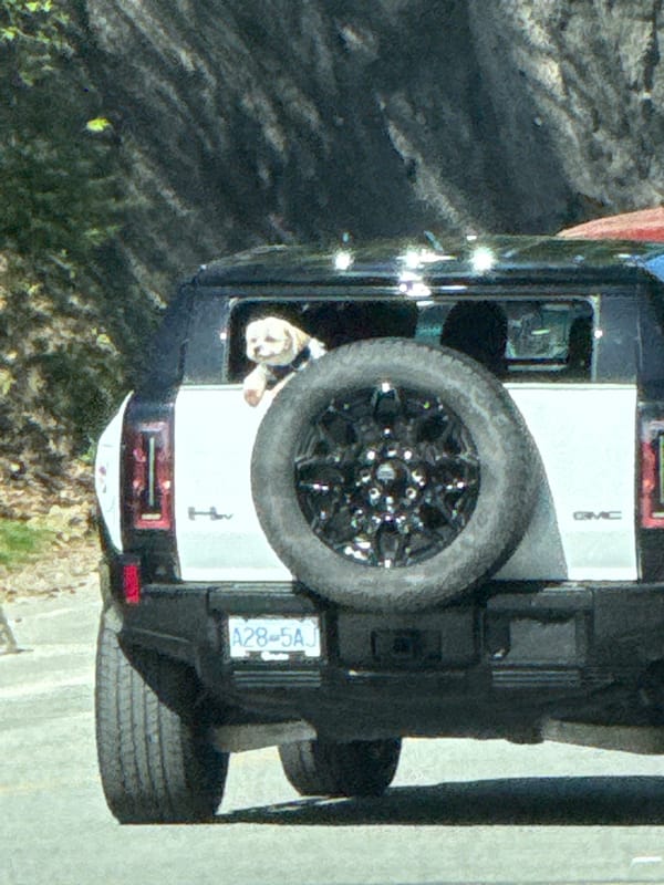 GMC Hummer EV spotted on Bowen Island