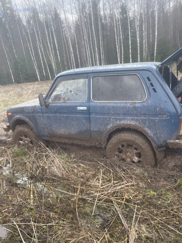 Multiple vehicles stuck in muddy field near Russkii Vozhoi