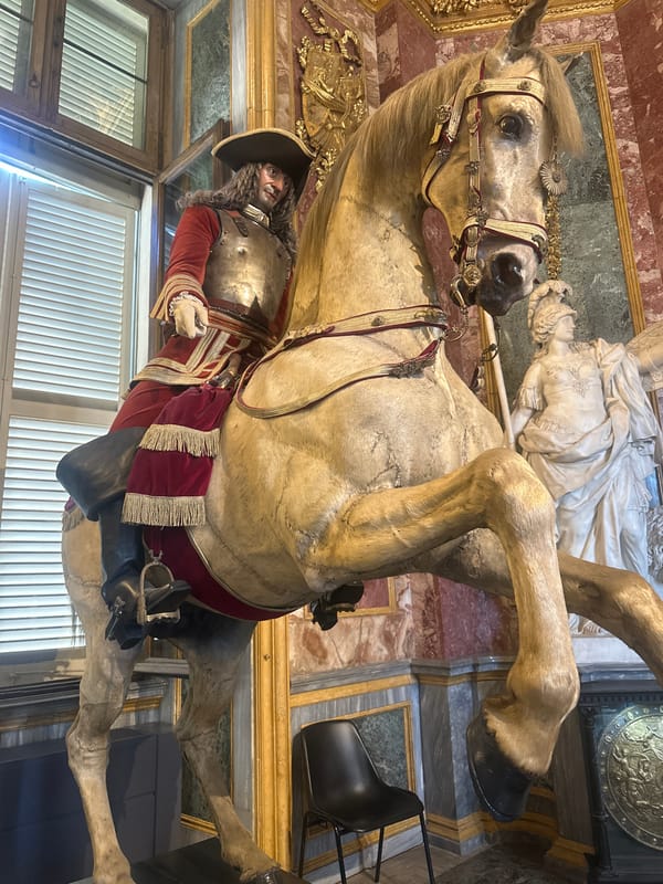 Tourist documents Royal Palace museums in Turin