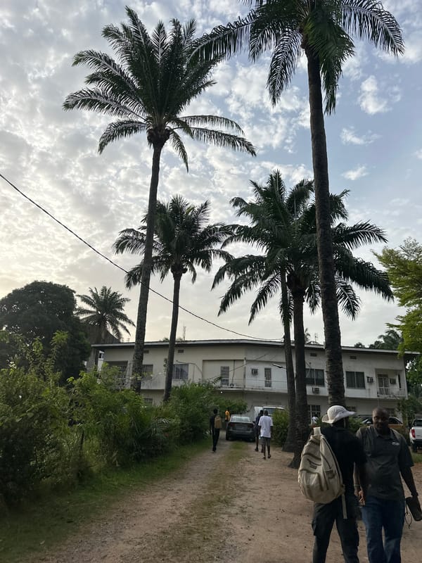 Morning street life and palm harvest documented in Lagos