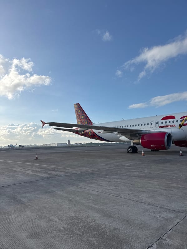 Mixed scenes captured: Indonesian aircraft, dragon art, night roads