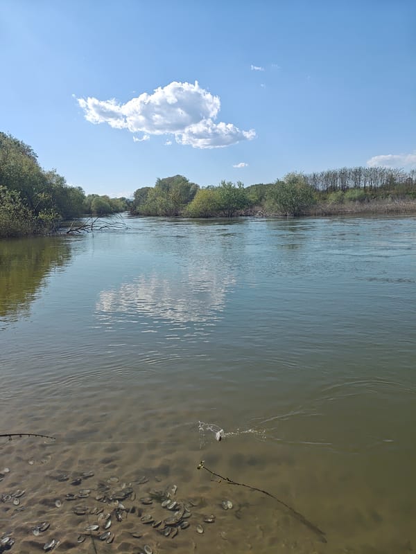 Angler fishes tree-lined river in Skoutari, Greece