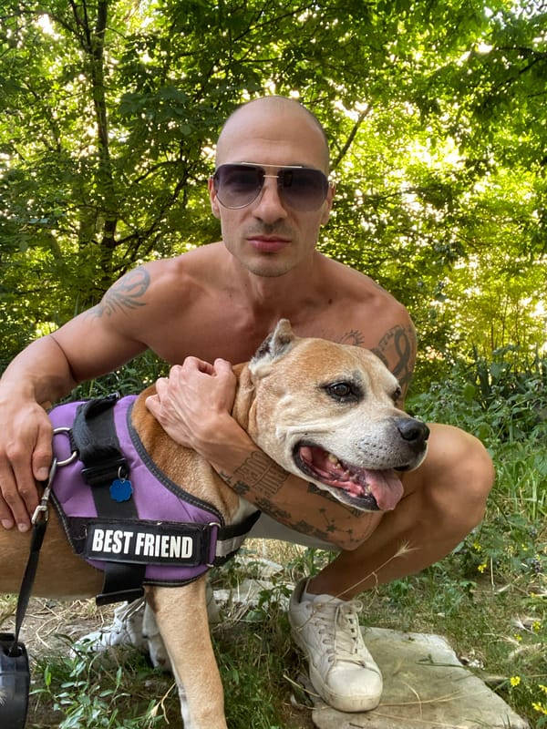 Afternoon outing with a dog in Pleven, Bulgaria
