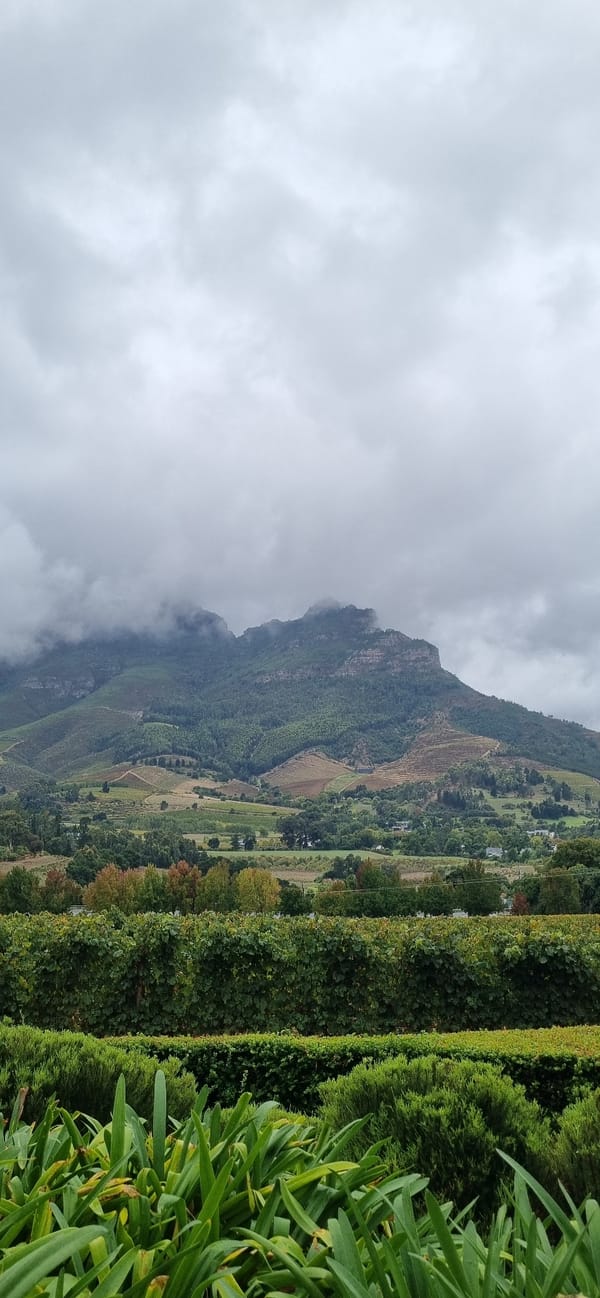 Cloudy skies blanket Stellenbosch vineyards and mountains