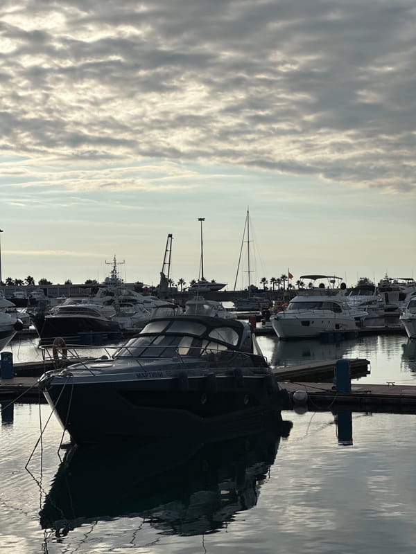 Sochi's grand marina on a cloudy summer afternoon