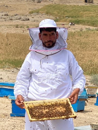 Afghan beekeepers tend hives as children watch nearby