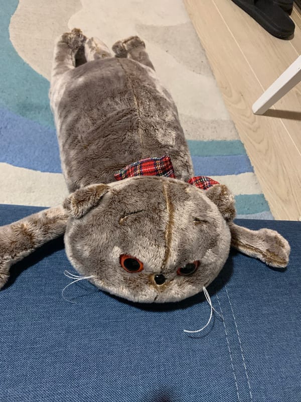 Evening with plush toys and personal items in Kapyĺ apartment