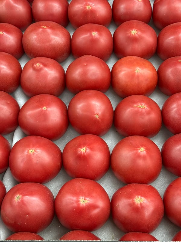 Fresh summer fruit and veg, up close at a Moscow market