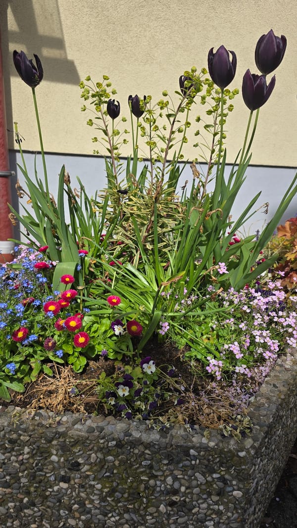 Spring morning street scene documented in Zirndorf, Germany