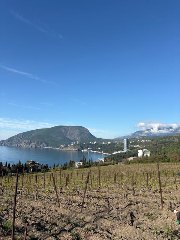 Workers tend coastal vineyard in Utios, Ukraine