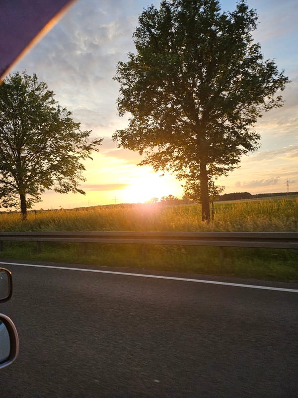 Vehicle passenger photographs roadside landscape in Hoppegarten, Germany