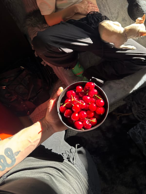 Person enjoys bowl of cherries with dog in Sofia