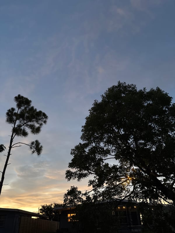 Dusk settles over a quiet North Port canal