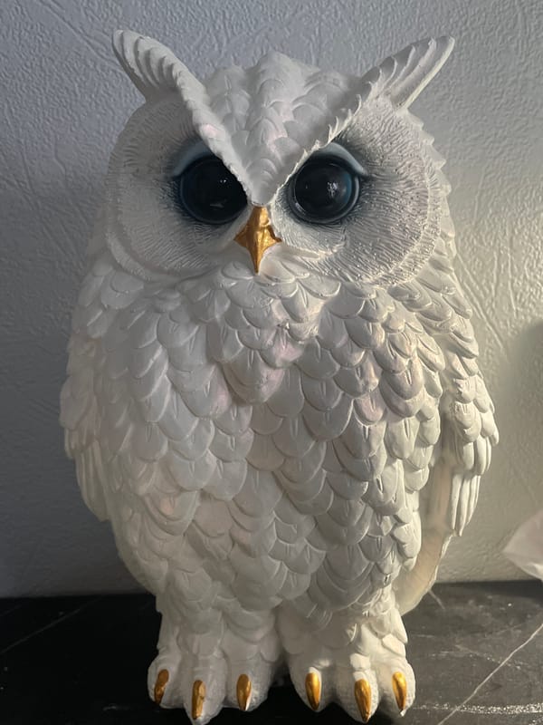 Miscellaneous personal snapshots: figurines, pets, and doodles