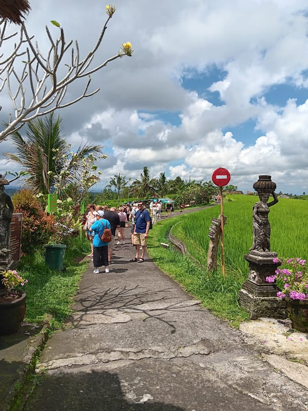 Tourists explore Penebel rice terraces under cloudy Indonesian skies