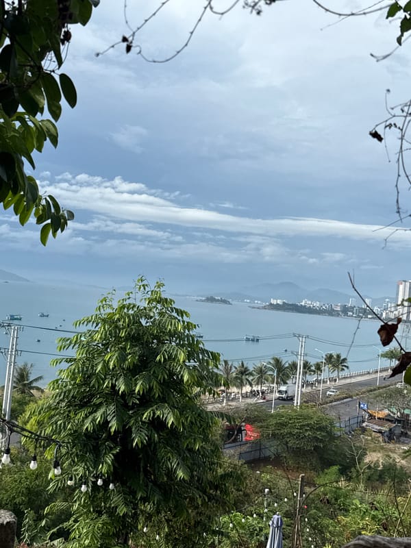 Seafood market and coastal scenes documented in Nha Trang