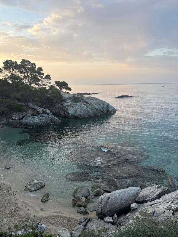 Rocky Costa Brava coastline at sunset, pine trees and turquoise water