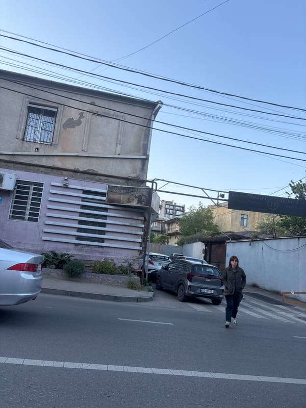 Casual street scenes documented across Tbilisi during afternoon hours
