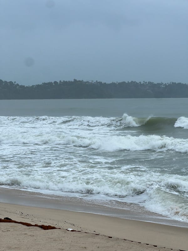 Overcast morning beach scene captured by multiple witnesses