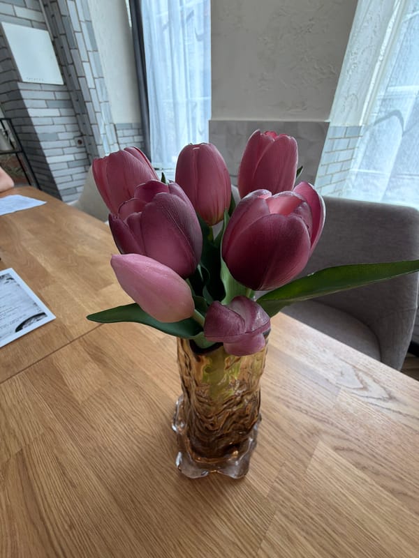 Fresh tulip bouquet photographed on wooden table in Silistra