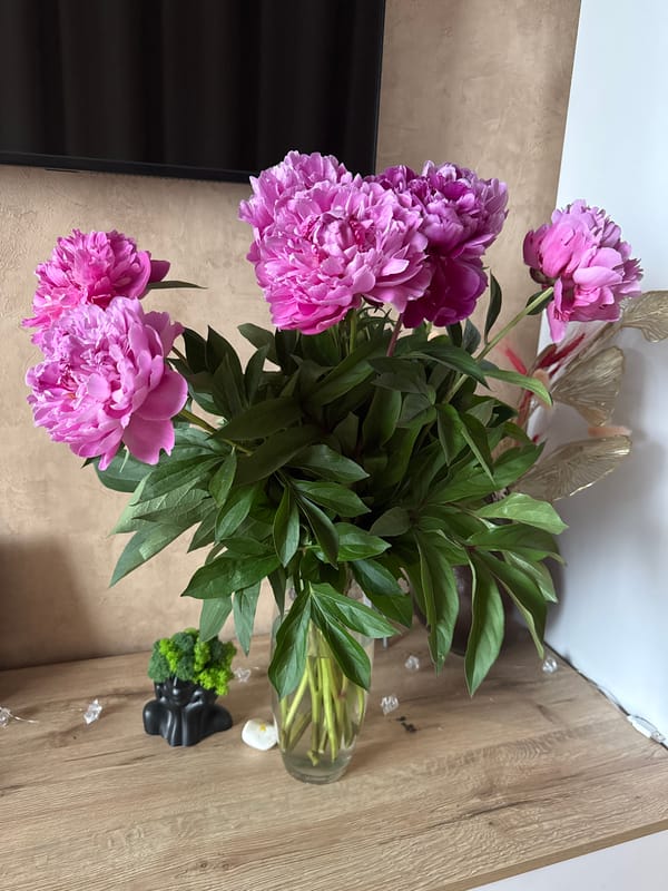 Pink peonies arranged indoors in Dnipro home setting