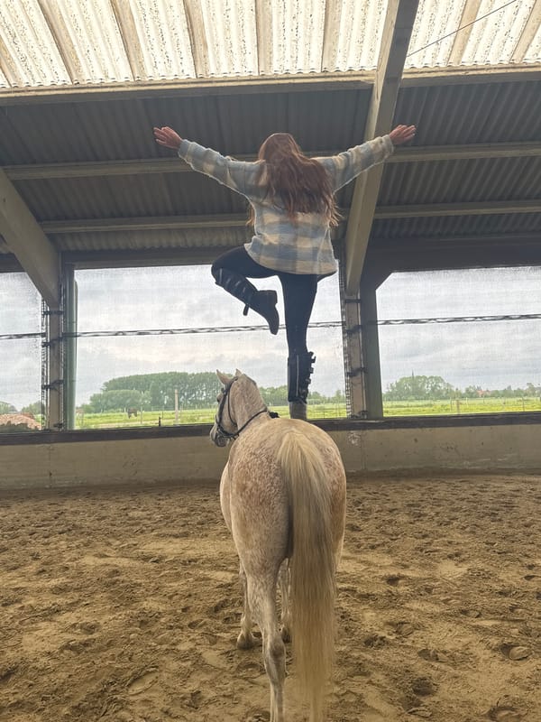 Woman performs standing routine on horse in Belgian riding arena