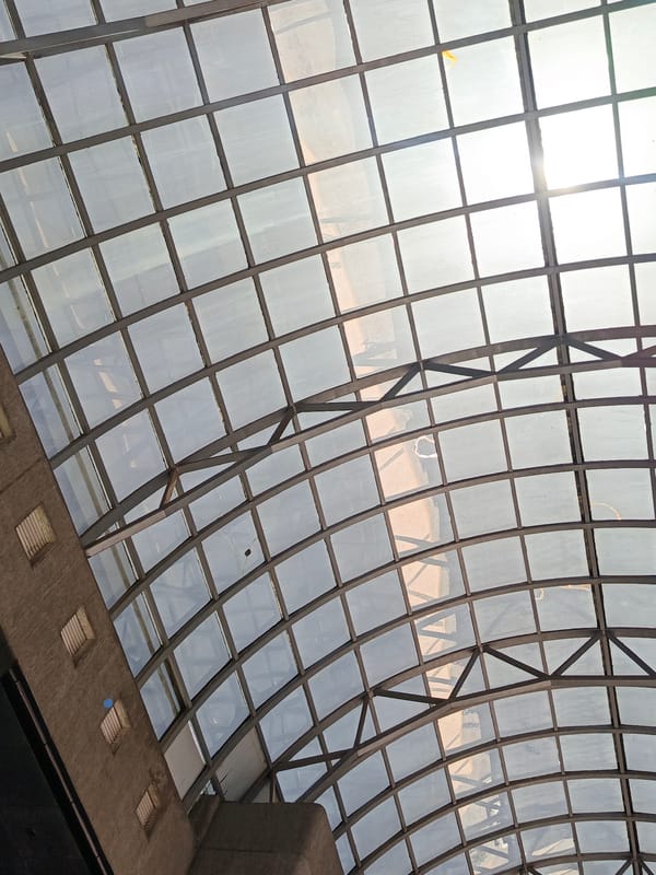 Curved glass roof structure with grid pattern documented