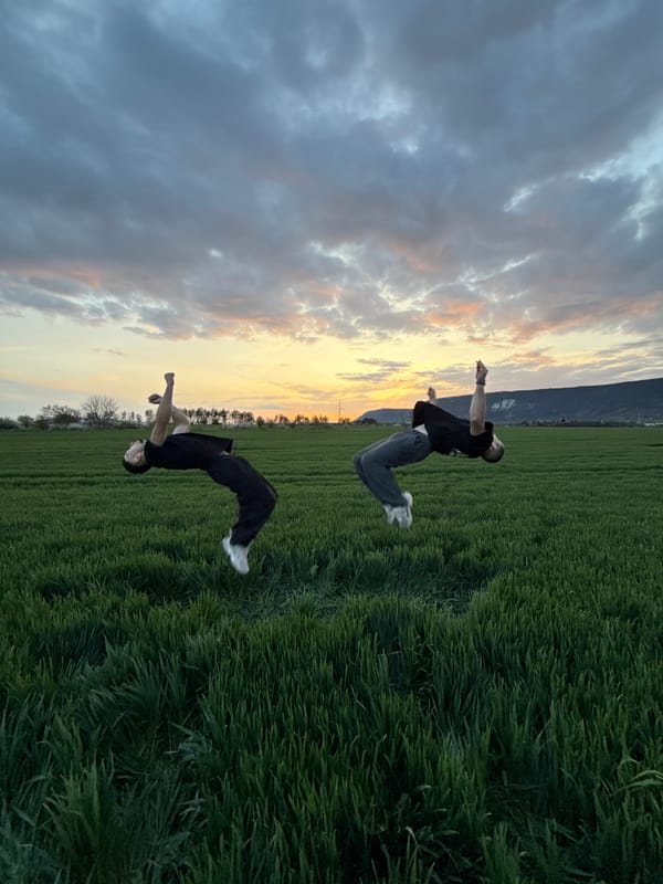 Young men perform backflips in Bulgarian field at dusk