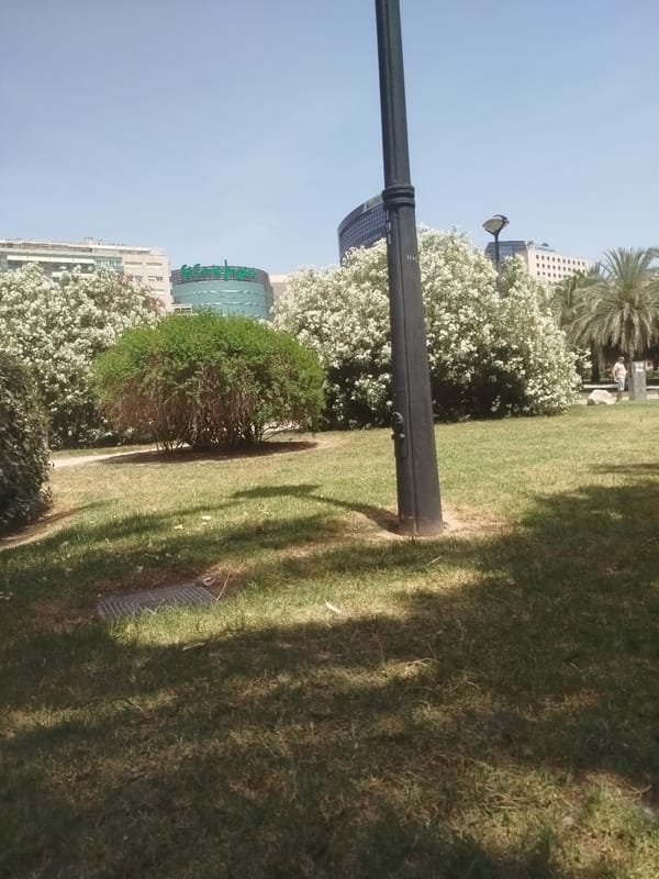Summer afternoon in Valencia's Turia Gardens and City of Arts and Sciences