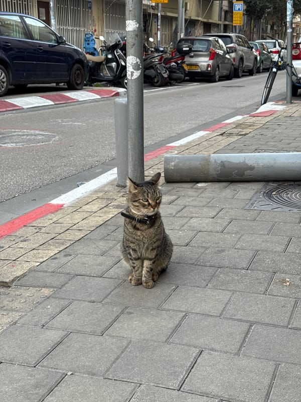 Witness documents afternoon street life scenes across Tel-Aviv